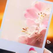 ヒメ日記 2025/09/16 09:00 投稿 鴨打 MadameRest(マダムレスト)