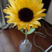 ヒメ日記 2025/06/03 09:29 投稿 しずか 奥様鉄道69 岡山店