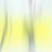 ヒメ日記 2025/09/13 16:54 投稿 【G】たまき ウルトラセレブリティ