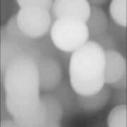 ヒメ日記 2026/02/05 20:24 投稿 【G】たまき ウルトラセレブリティ