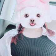 ヒメ日記 2025/08/11 00:05 投稿 きしか 奥様特急三条店