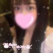 ツキ はじめまして💕 キャンディ(鹿児島)