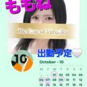 ヒメ日記 2025/09/24 17:16 投稿 奥平　ももね ベルサイユの薔薇