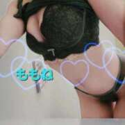 ヒメ日記 2026/01/15 14:42 投稿 奥平　ももね ベルサイユの薔薇