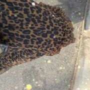 ヒメ日記 2026/01/21 09:12 投稿 奥平　ももね ベルサイユの薔薇