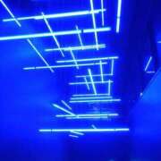 つきの こんにちは、皆さん✨ 奥様プリモ