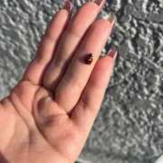 菊池祈里(きくちいのり) 春の訪れ🌸 鶯谷ナンバーワン