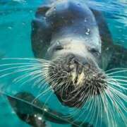 ヒメ日記 2026/02/23 21:20 投稿 菊池祈里(きくちいのり) 鶯谷ナンバーワン