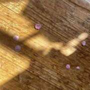 ヒメ日記 2026/03/01 12:30 投稿 菊池祈里(きくちいのり) 鶯谷ナンバーワン