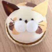 ヒメ日記 2026/03/26 21:40 投稿 菊池祈里(きくちいのり) 鶯谷ナンバーワン