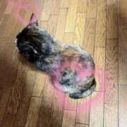 ヒメ日記 2026/03/28 18:20 投稿 菊池祈里(きくちいのり) 鶯谷ナンバーワン