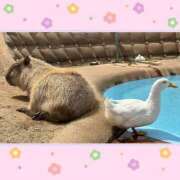 ヒメ日記 2025/05/12 20:08 投稿 かほ 福島♂風俗の神様 郡山店