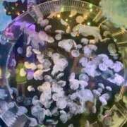 ヒメ日記 2025/07/22 23:38 投稿 かほ 福島♂風俗の神様 郡山店