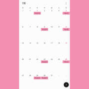 せりな 7 ケープエンジェル
