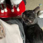 ヒメ日記 2025/09/19 10:45 投稿 りの 多恋人倶楽部　宇部店