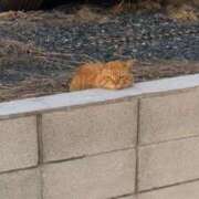 ヒメ日記 2025/09/29 11:06 投稿 もな 渋谷じゃっくす