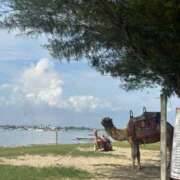 ヒメ日記 2025/10/28 09:33 投稿 もな 渋谷じゃっくす