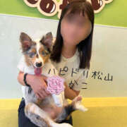 ヒメ日記 2025/11/16 11:35 投稿 かこ ハピネス＆ドリーム 松山道後温泉