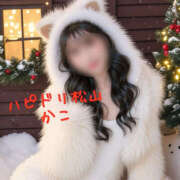 かこ 猫になってみたよ ハピネス＆ドリーム 松山道後温泉