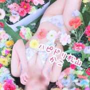 ヒメ日記 2026/02/19 21:38 投稿 かこ ハピネス＆ドリーム 松山道後温泉