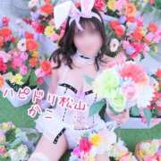 ヒメ日記 2026/02/20 07:39 投稿 かこ ハピネス＆ドリーム 松山道後温泉