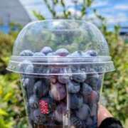 ヒメ日記 2025/07/20 21:21 投稿 綾 ラブハート