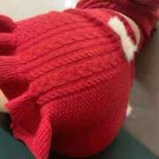 ヒメ日記 2025/11/22 21:46 投稿 『えま』 ESSENCE