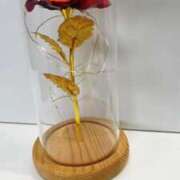 ヒメ日記 2025/05/12 16:42 投稿 西山ゆり 五十路マダム 浜松店(カサブランカグループ)