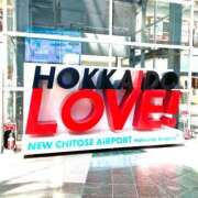 アリス ?お久しぶりです? マテリアル