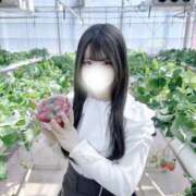 ヒメ日記 2025/06/09 12:57 投稿 ももね ウルトラドリーム