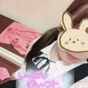 ヒメ日記 2025/08/04 12:20 投稿 しおり 池袋平成女学園