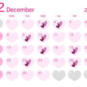 ヒメ日記 2025/12/02 22:35 投稿 しおり 池袋平成女学園