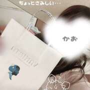 しおり 何事もほどほどに 池袋平成女学園