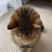 かなで 本日お休みします🙏 もんぜつちじょ本店