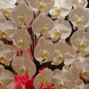 ヒメ日記 2025/05/29 11:18 投稿 久保田 熟女の風俗最終章 新横浜店