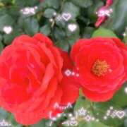 ヒメ日記 2025/09/03 05:30 投稿 かなみ 天使のゆびさき 船橋店(カサブランカグループ)