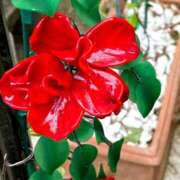 ヒメ日記 2025/09/09 03:14 投稿 かなみ 天使のゆびさき 船橋店(カサブランカグループ)