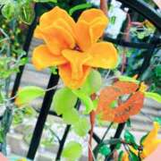 ヒメ日記 2025/09/12 05:12 投稿 かなみ 天使のゆびさき 船橋店(カサブランカグループ)