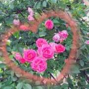 ヒメ日記 2025/09/17 05:00 投稿 かなみ 天使のゆびさき 船橋店(カサブランカグループ)