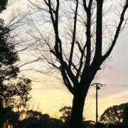 ヒメ日記 2025/10/29 03:08 投稿 かなみ 天使のゆびさき 船橋店(カサブランカグループ)