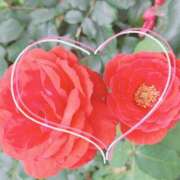 ヒメ日記 2026/02/19 23:28 投稿 かなみ 天使のゆびさき 船橋店(カサブランカグループ)