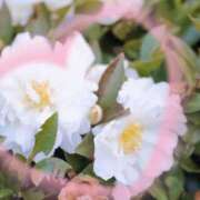 ヒメ日記 2026/02/20 18:32 投稿 かなみ 天使のゆびさき 船橋店(カサブランカグループ)