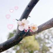 ヒメ日記 2026/02/28 22:32 投稿 かなみ 天使のゆびさき 船橋店(カサブランカグループ)