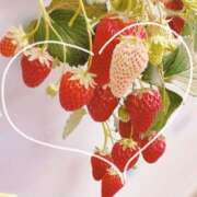 ヒメ日記 2026/03/13 02:42 投稿 かなみ 天使のゆびさき 船橋店(カサブランカグループ)