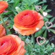 ヒメ日記 2026/04/10 02:50 投稿 かなみ 天使のゆびさき 船橋店(カサブランカグループ)