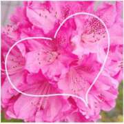 ヒメ日記 2026/04/14 00:14 投稿 かなみ 天使のゆびさき 船橋店(カサブランカグループ)