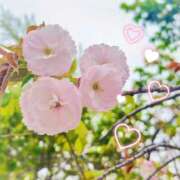 ヒメ日記 2026/04/17 03:38 投稿 かなみ 天使のゆびさき 船橋店(カサブランカグループ)