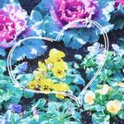 ヒメ日記 2026/04/23 04:10 投稿 かなみ 天使のゆびさき 船橋店(カサブランカグループ)