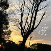 ヒメ日記 2026/04/23 04:18 投稿 かなみ 天使のゆびさき 船橋店(カサブランカグループ)