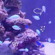 ヒメ日記 2026/04/24 04:08 投稿 かなみ 天使のゆびさき 船橋店(カサブランカグループ)